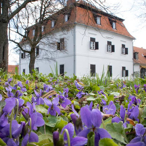 Üszögi Batthyány Kastély - Szálló, étterem és rendezvényterem